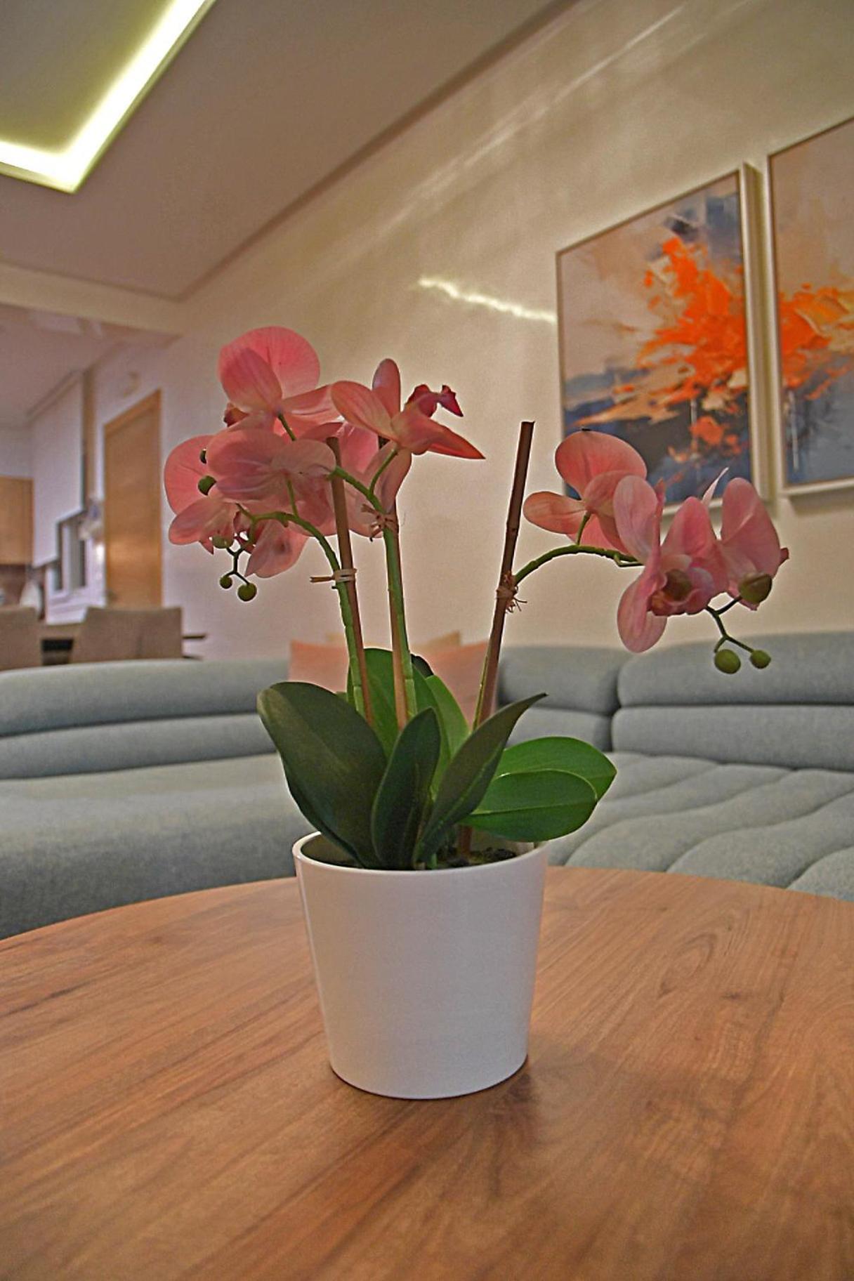 Inhome Apartment 卡博尼格洛 外观 照片